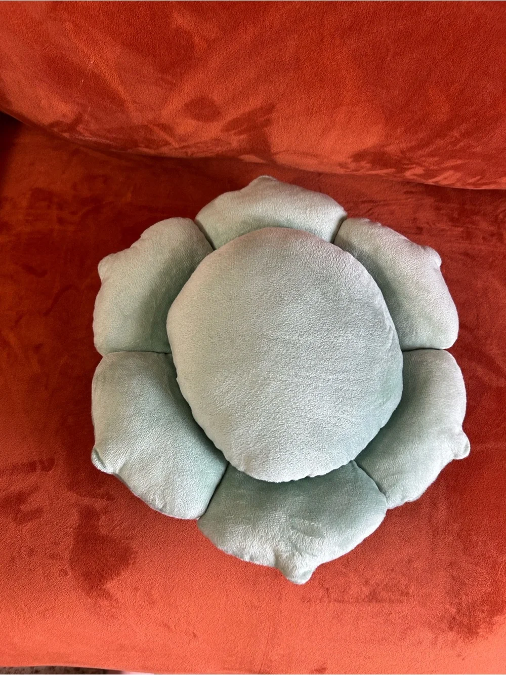 Audacious Hippo soft audacious